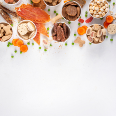 Godbidder og snacks til hund