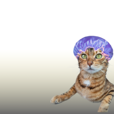 Kattepleje produkter