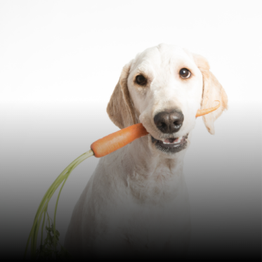 Naturlige snacks og tyggeben