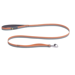 Front Range hundesnor