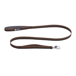 Front Range hundesnor