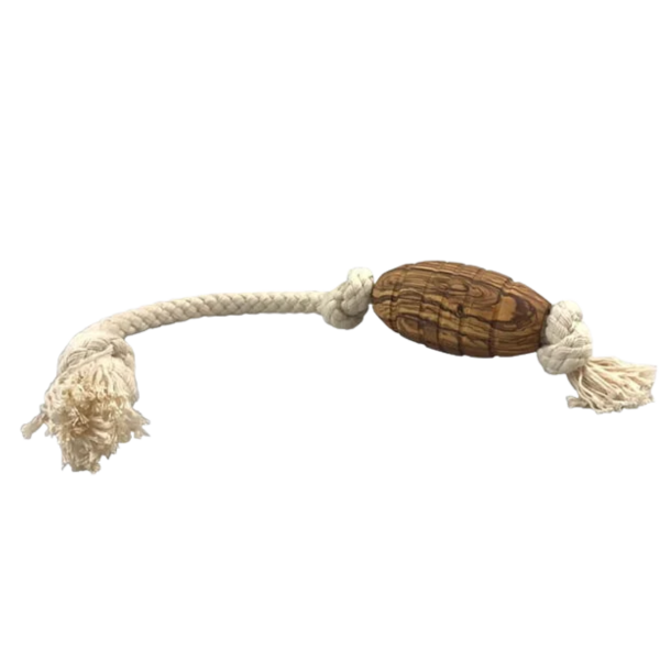 Olivi rugby med bomuldsreb, ca 36 cm